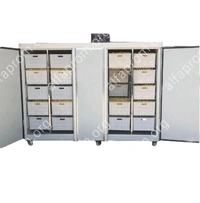 Проращиватель семян, бобов, злаков BSC-600A Foodatlas