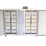 Проращиватель семян, бобов, злаков BSC-400A Foodatlas